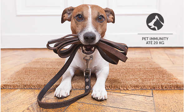 Mais segurança para seu pet