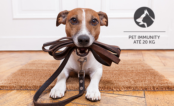 Segurança para seu pet