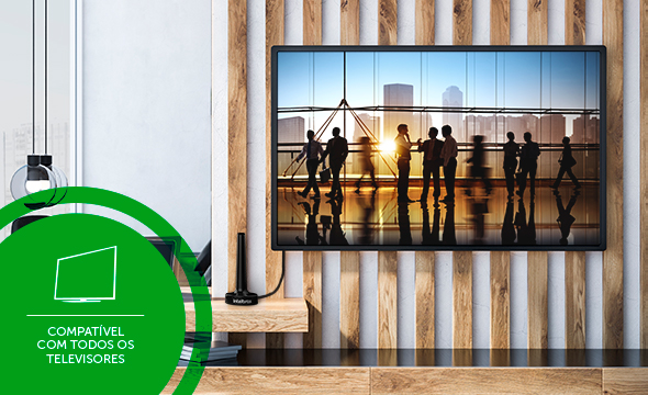 Conector da antena compatível com TVs e conversores