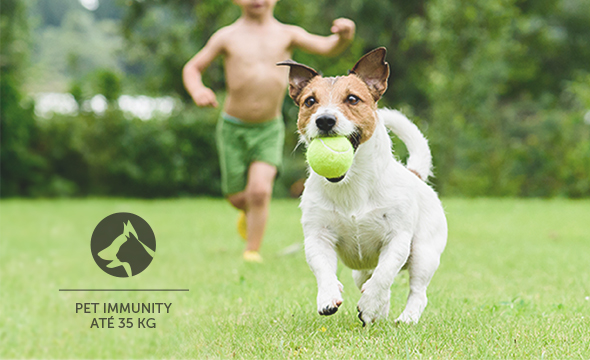 Mais segurança para seu pet