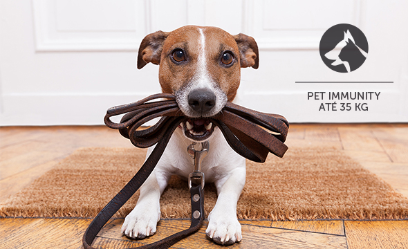 Segurança para seu pet