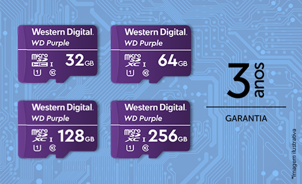 Vários cartões de memória de diferentes capacidades