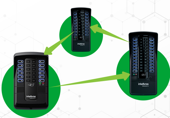 Interliga&ccedil;&atilde;o entre Collectives
