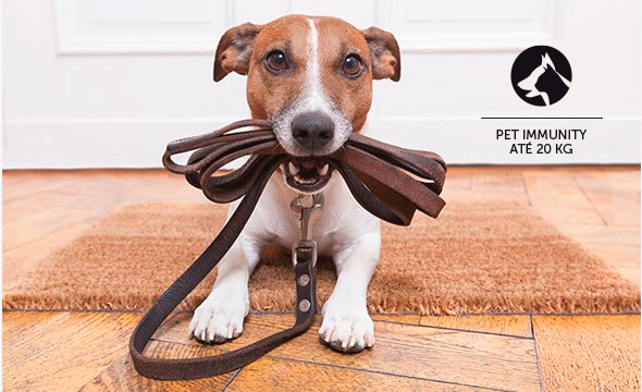 Homem trabalhando em notebook com seu cachorro ao lado