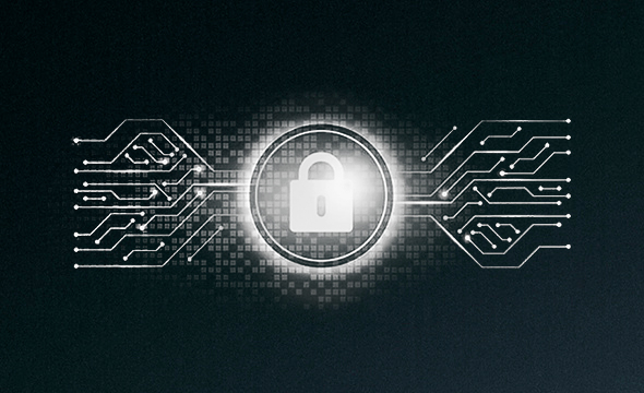 Adequado aos Padrões LGPD