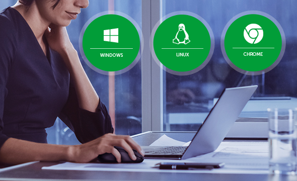 Mouse compatível com diversos sistemas operacionais