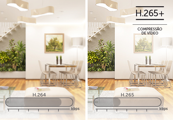 Compat&iacute;vel com as tecnologias H.265+ e H.265