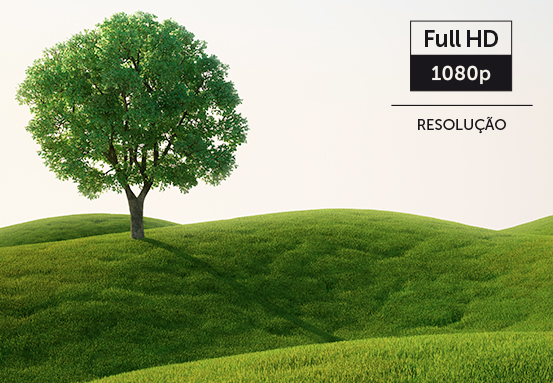 Nitidez em cada detalhe com imagens Full HD