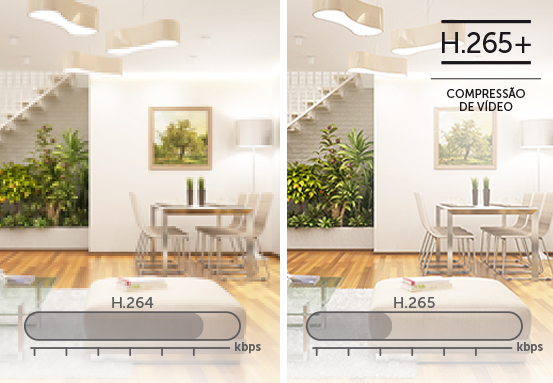 Compat&iacute;vel com as tecnologias H.265+ e H.265