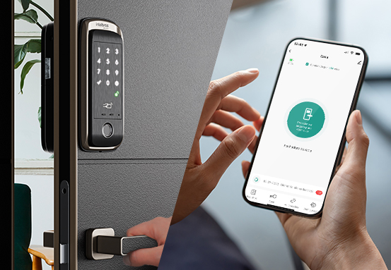 Acesso remoto para visitas