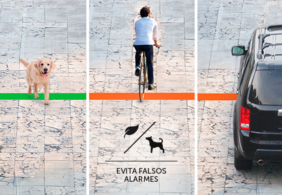 Demonstração da Inteligência Artificial para análise perimetral