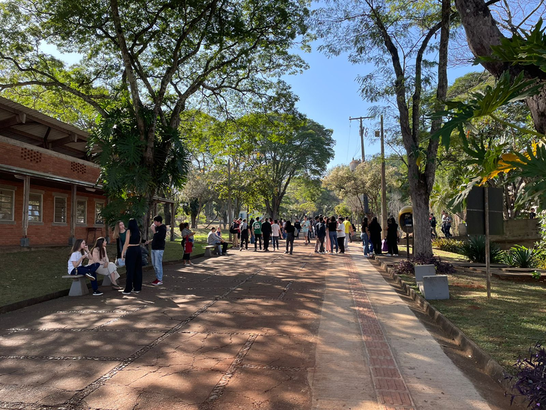 Universidade Estadual de Londrina