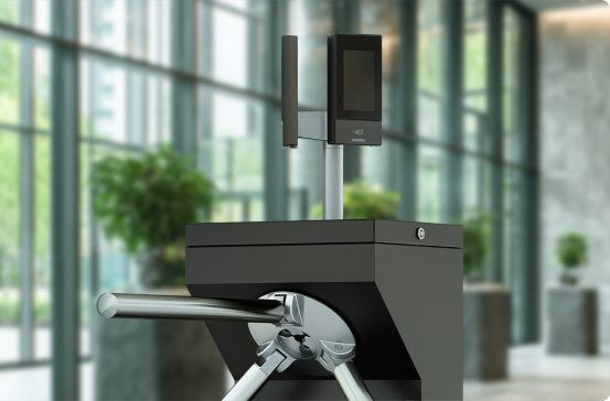 LITE MF FACE0010_0.png 