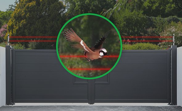 4149_AF_FINAL-Flyer-Digital-IVA-7100-OCTA-interrupcion adyacentes