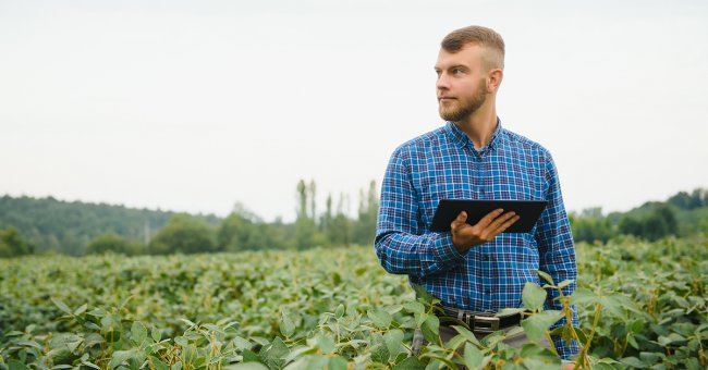 imagem-post-blog-tipos-de-nobreak-para-agronegocio