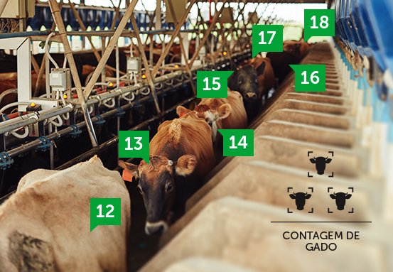 VIP 9320 GD FT - Câmera IP de contagem de gado