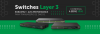 Banner Switch Layer 3